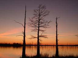 Enid Lake in MS