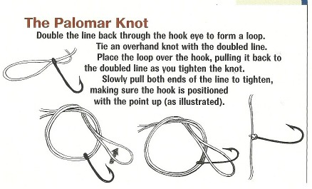 bass fishing line tied with Palomar knot