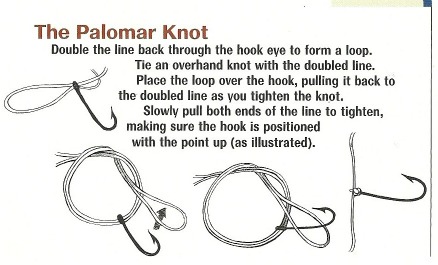 https://www.bass-fishing-info-guide.com/images/bass-fishing-line-palomar-knot.jpg