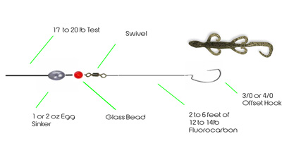 carolina rig for bass fishing techniques