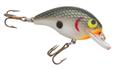 shallow crankbait with short lip