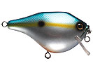 crankbait shallow diver