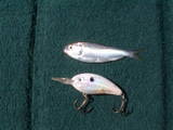 cold front fishing bait crankbait and shad