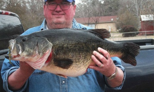 Ms bass at Flint Creek Waterpark lake Ms bass at Flint Creek Waterpark lake